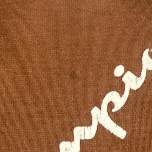 CHAMPION Burnt Orange All-Over Logo Graphic Print Fleece Hoodie Sweatshirt MED - Picture 4 of 9